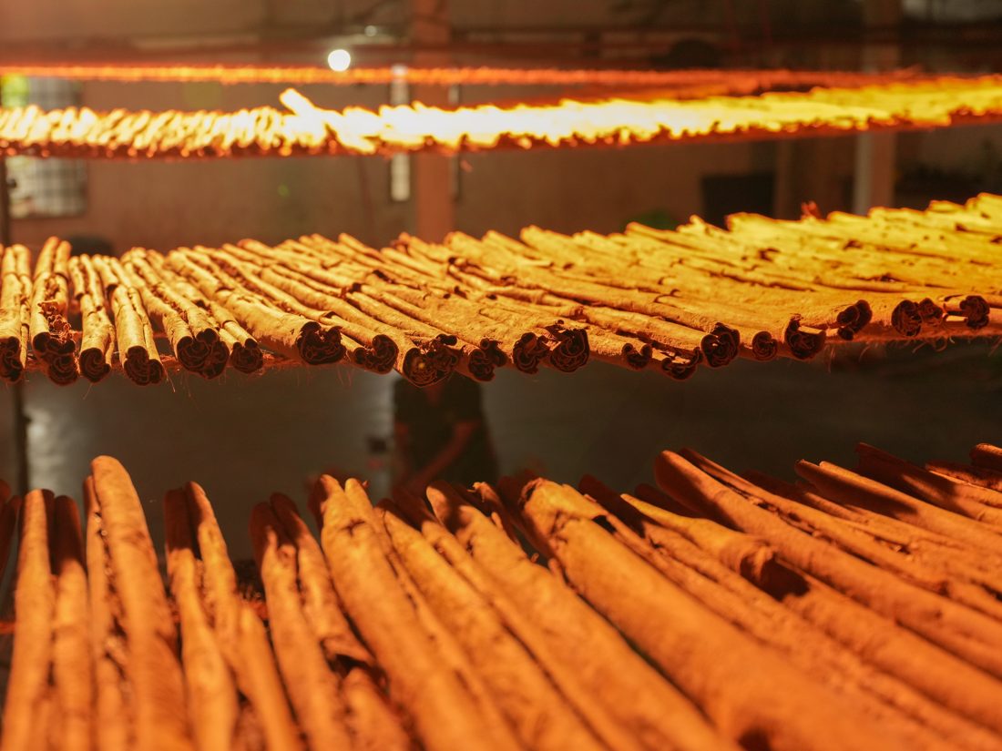 Rows of cinnamon quills drying on racks